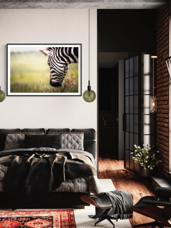 Portrait eines grasenden Zebras
