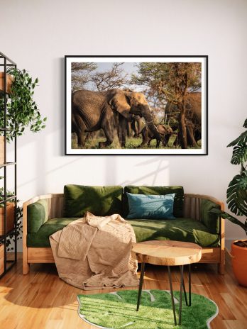 Eine Familie Elefanten in der Savanne
