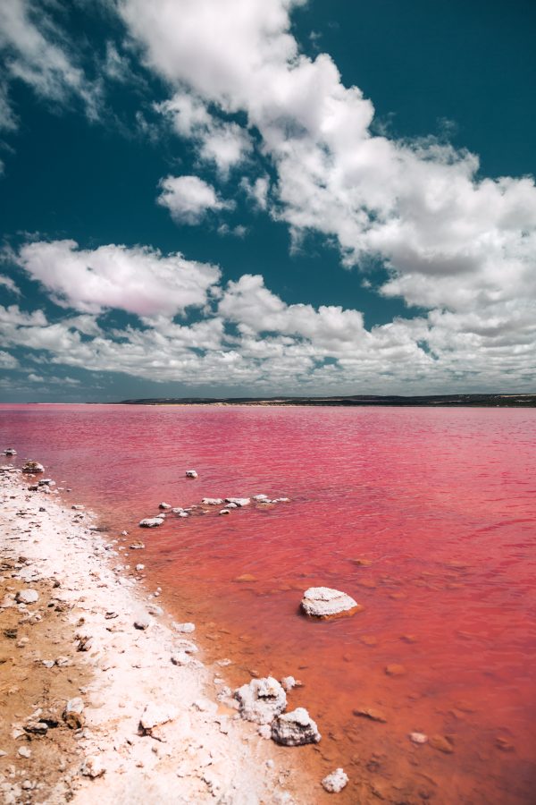The Pink Lake, the Hutt Lagoon in Western Australia, Australia